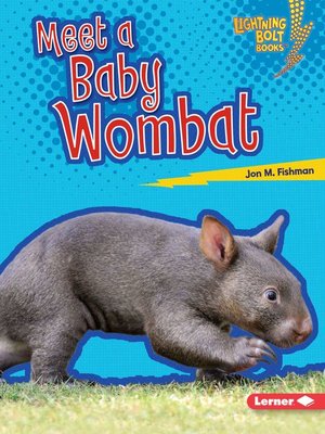 cover image of Meet a Baby Wombat